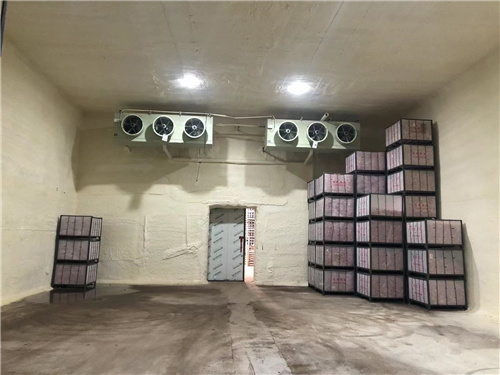 江南买球·(中国)手机网页版苹果冷库安装案例
